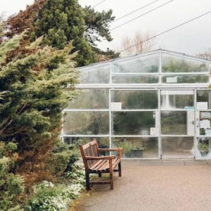 不只是玻璃房这么简单 他们去了世界上最美的温室