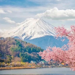 赏樱必住的小众酒店 不出酒店就能看到富士山