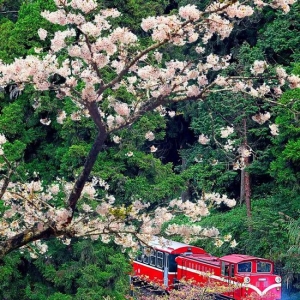 比起奋不顾身的爱情 一场说走就走的旅行更美