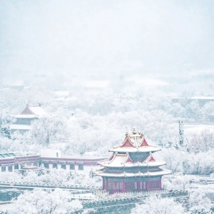 大雪过后的北京 你一定要去看看