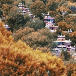 想去这7个最中国的古村 享受时光